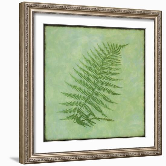 Fern Series Vintage III-Cora Niele-Framed Giclee Print