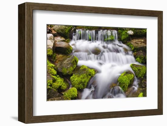 Fern Spring, California, Usa-Russ Bishop-Framed Photographic Print