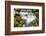 Fern Spring, California, Usa-Russ Bishop-Framed Photographic Print