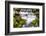 Fern Spring, California, Usa-Russ Bishop-Framed Photographic Print