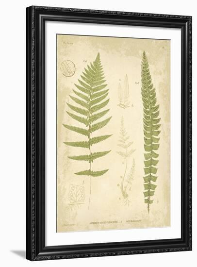 Fern Study II-Maria Mendez-Framed Giclee Print