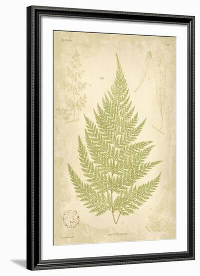 Fern Study IV-Maria Mendez-Framed Giclee Print