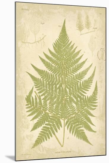 Fern Study V-Maria Mendez-Mounted Giclee Print