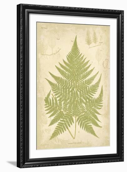 Fern Study V-Maria Mendez-Framed Giclee Print