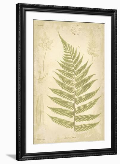 Fern Study VI-Maria Mendez-Framed Giclee Print