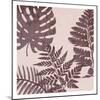 Fern Time 3-Sheldon Lewis-Mounted Art Print