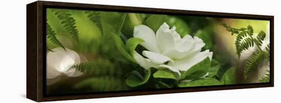 Fern with Magnolia-null-Framed Premier Image Canvas