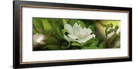 Fern with Magnolia-null-Framed Photographic Print