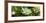 Fern with Magnolia-null-Framed Photographic Print