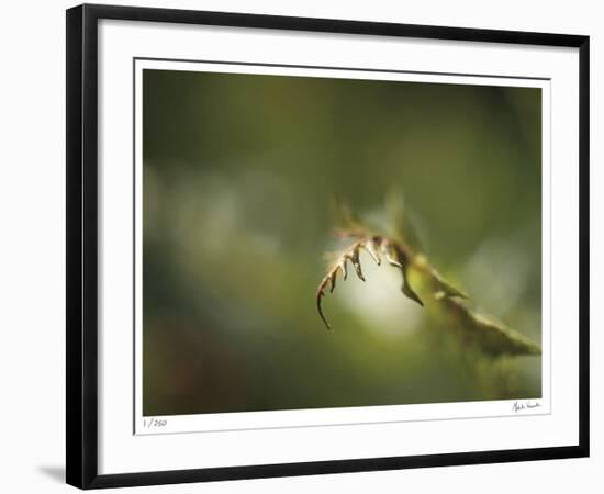 Fern-Michelle Wermuth-Framed Giclee Print