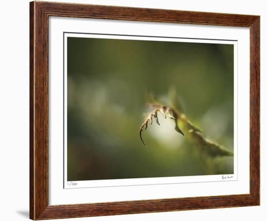 Fern-Michelle Wermuth-Framed Giclee Print