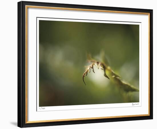 Fern-Michelle Wermuth-Framed Giclee Print