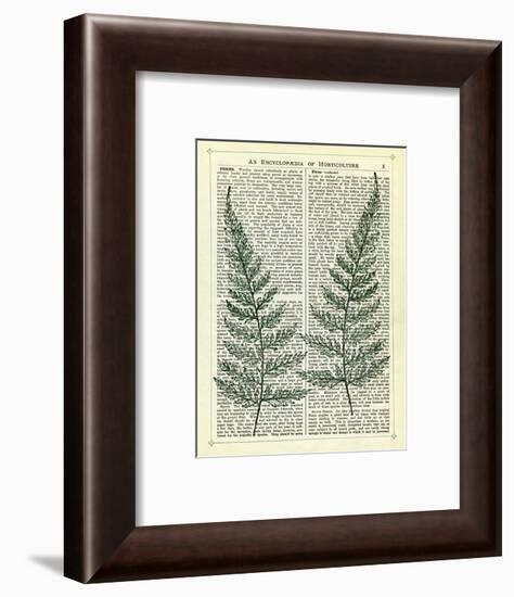 Fern-Marion Mcconaghie-Framed Art Print