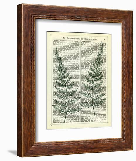 Fern-Marion Mcconaghie-Framed Art Print