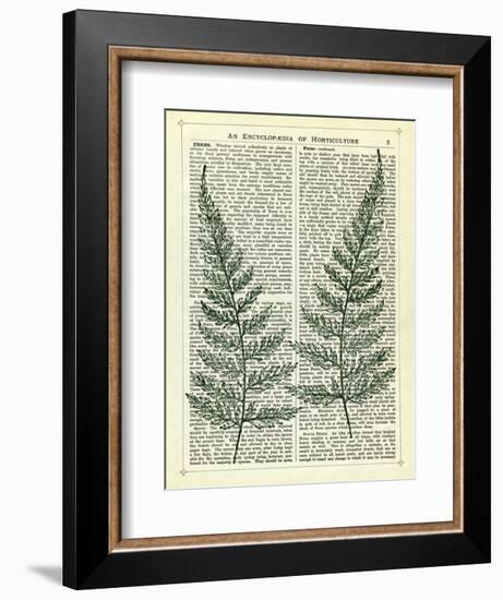 Fern-Marion Mcconaghie-Framed Art Print