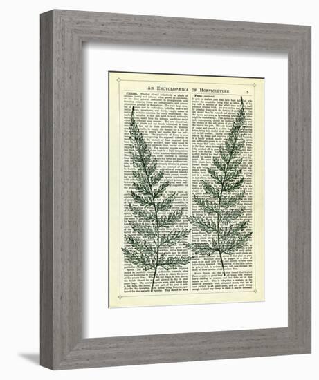 Fern-Marion Mcconaghie-Framed Art Print