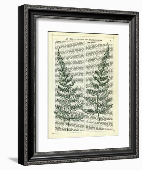 Fern-Marion Mcconaghie-Framed Art Print