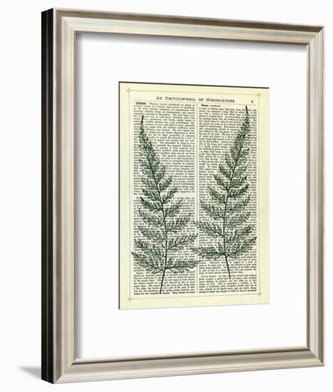 Fern-Marion Mcconaghie-Framed Art Print