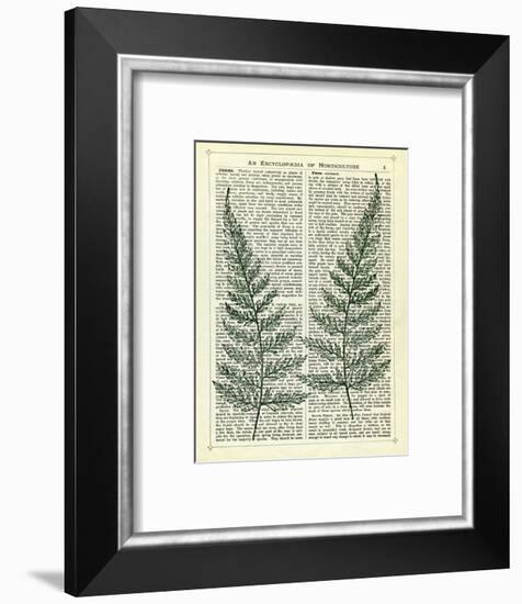 Fern-Marion Mcconaghie-Framed Art Print