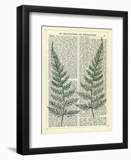 Fern-Marion Mcconaghie-Framed Art Print