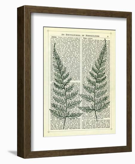 Fern-Marion Mcconaghie-Framed Art Print