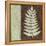 Fern-Kristin Emery-Framed Stretched Canvas