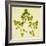 Fern-Graeme Harris-Framed Giclee Print