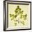 Fern-Graeme Harris-Framed Giclee Print