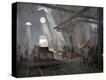 Stretched Canvas Print