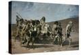 Stretched Canvas Print