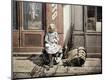 Premium Giclee Print