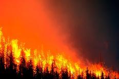 Wildfire. Wildfire in British Columbia. Canada. Forest Fire. Forest Fire in Progress. Fire. Large F-Fernando Astasio Avila-Photographic Print