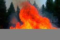 Wildfire. Wildfire in British Columbia. Canada. Forest Fire. Forest Fire in Progress. Fire. Large F-Fernando Astasio Avila-Photographic Print