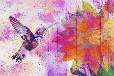 Hummingbird XVII-Fernando Palma-Giclee Print