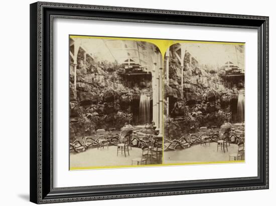 Fernery and Waterfall at Brighton Aquarium-null-Framed Photographic Print