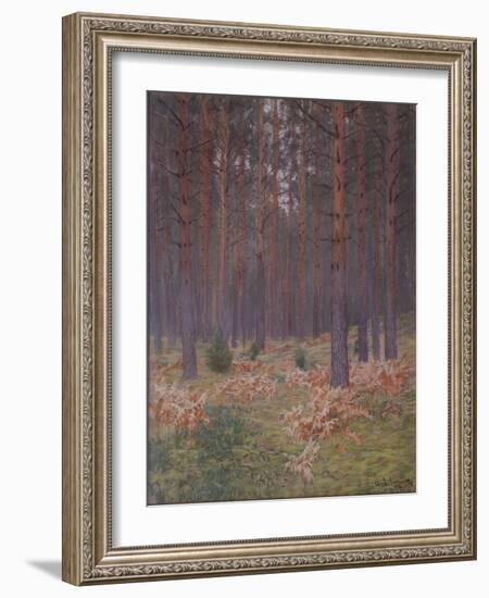 Ferns, 1894-Isaak Ilyich Levitan-Framed Giclee Print