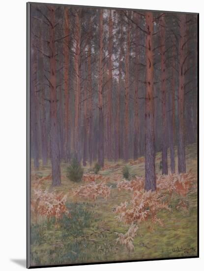 Ferns, 1894-Isaak Ilyich Levitan-Mounted Giclee Print