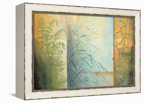 Ferns and Grasses-Don Li-Leger-Framed Stretched Canvas