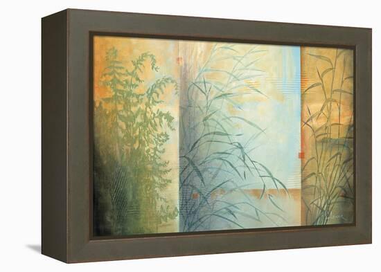 Ferns and Grasses-Don Li-Leger-Framed Stretched Canvas