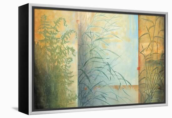Ferns and Grasses-Don Li-Leger-Framed Stretched Canvas