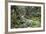 Ferns and Moss in Forest Near Lake Mackenzie, Routeburn Track, Fiordland National Park-Stuart Black-Framed Photographic Print