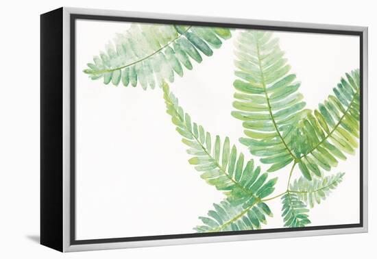 Ferns I Square-Chris Paschke-Framed Stretched Canvas