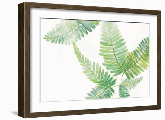 Ferns I Square-Chris Paschke-Framed Art Print