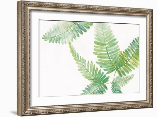 Ferns I Square-Chris Paschke-Framed Art Print