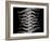 Ferns I-Jim Christensen-Framed Photographic Print
