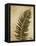 Ferns II-Patricia Pinto-Framed Stretched Canvas