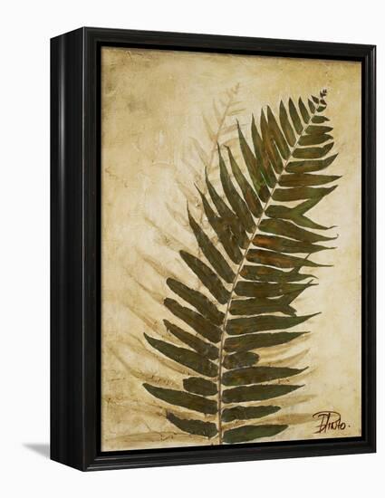 Ferns II-Patricia Pinto-Framed Stretched Canvas