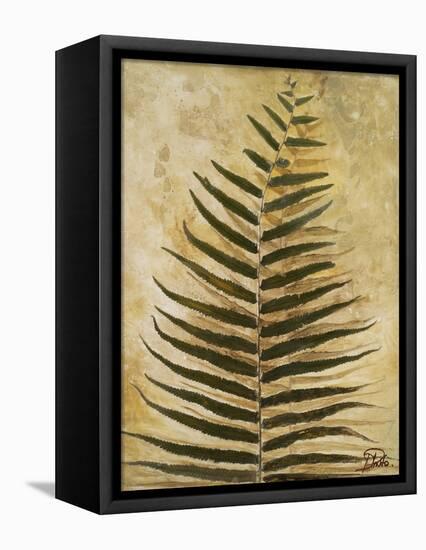 Ferns III-Patricia Pinto-Framed Stretched Canvas