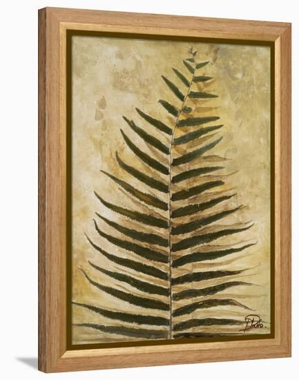 Ferns III-Patricia Pinto-Framed Stretched Canvas
