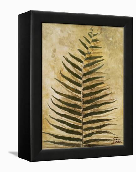 Ferns III-Patricia Pinto-Framed Stretched Canvas